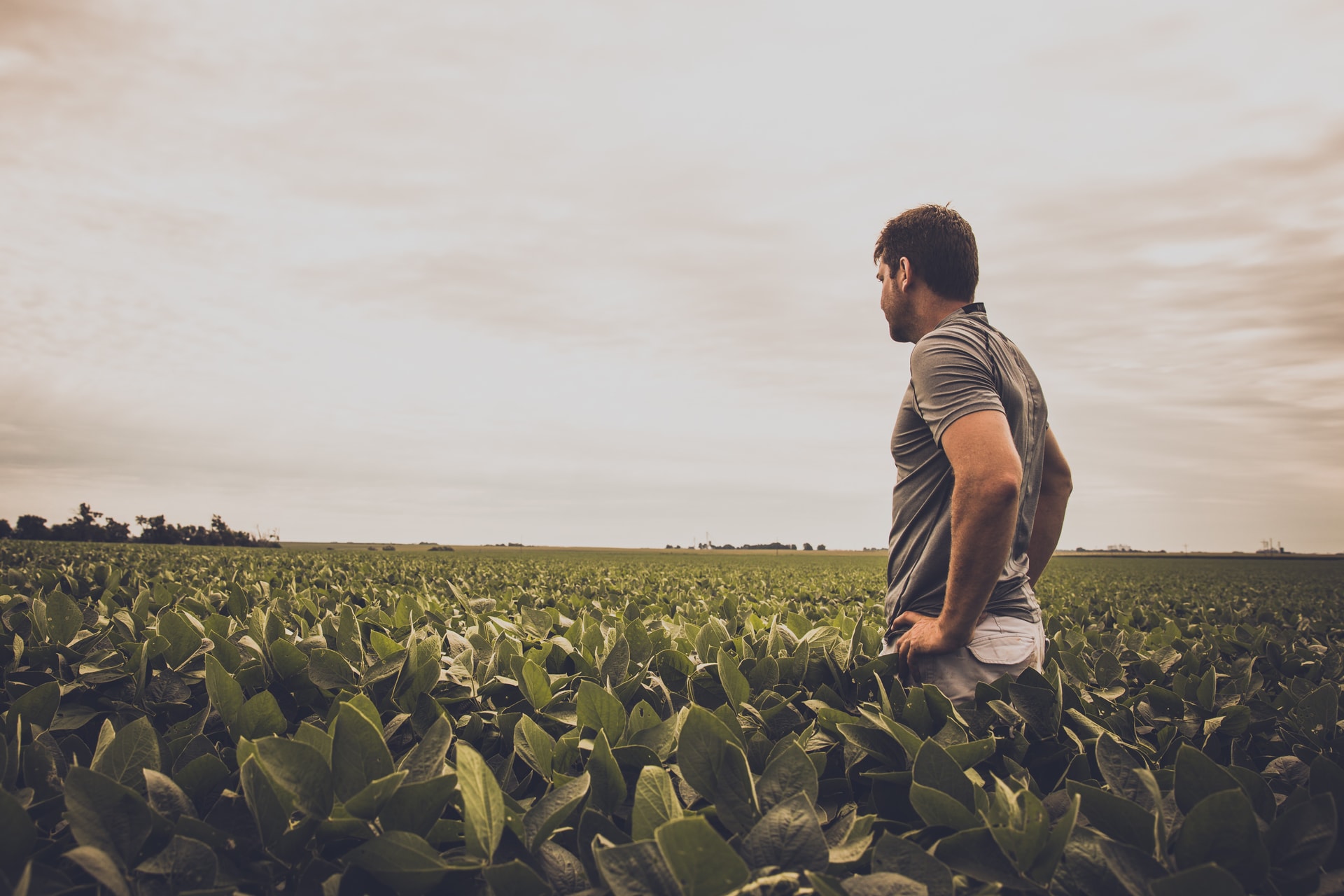 commercial photography for a brand featuring a farmer captured for Black Hills Energy in Omaha Nebraska