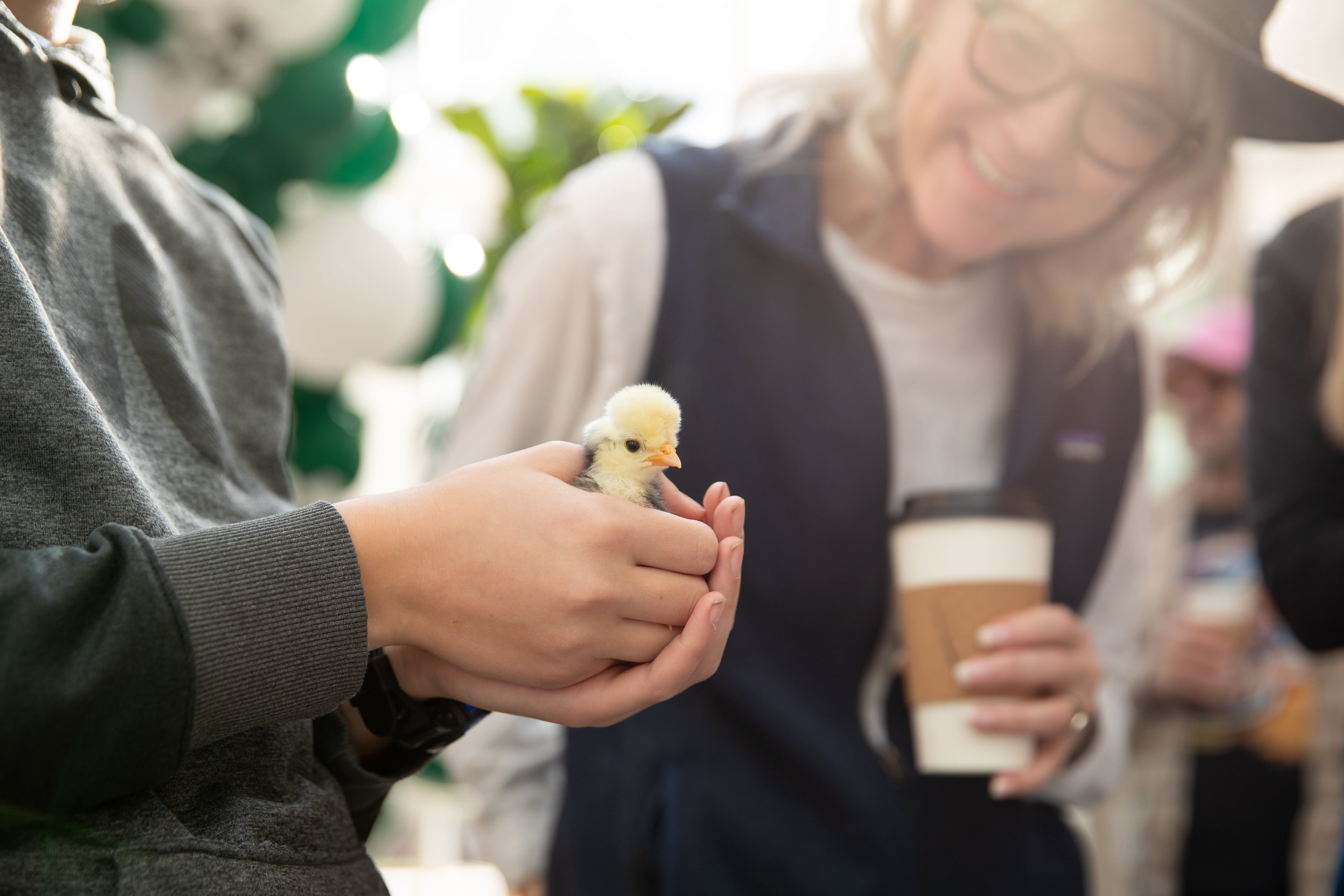 corporate life photography