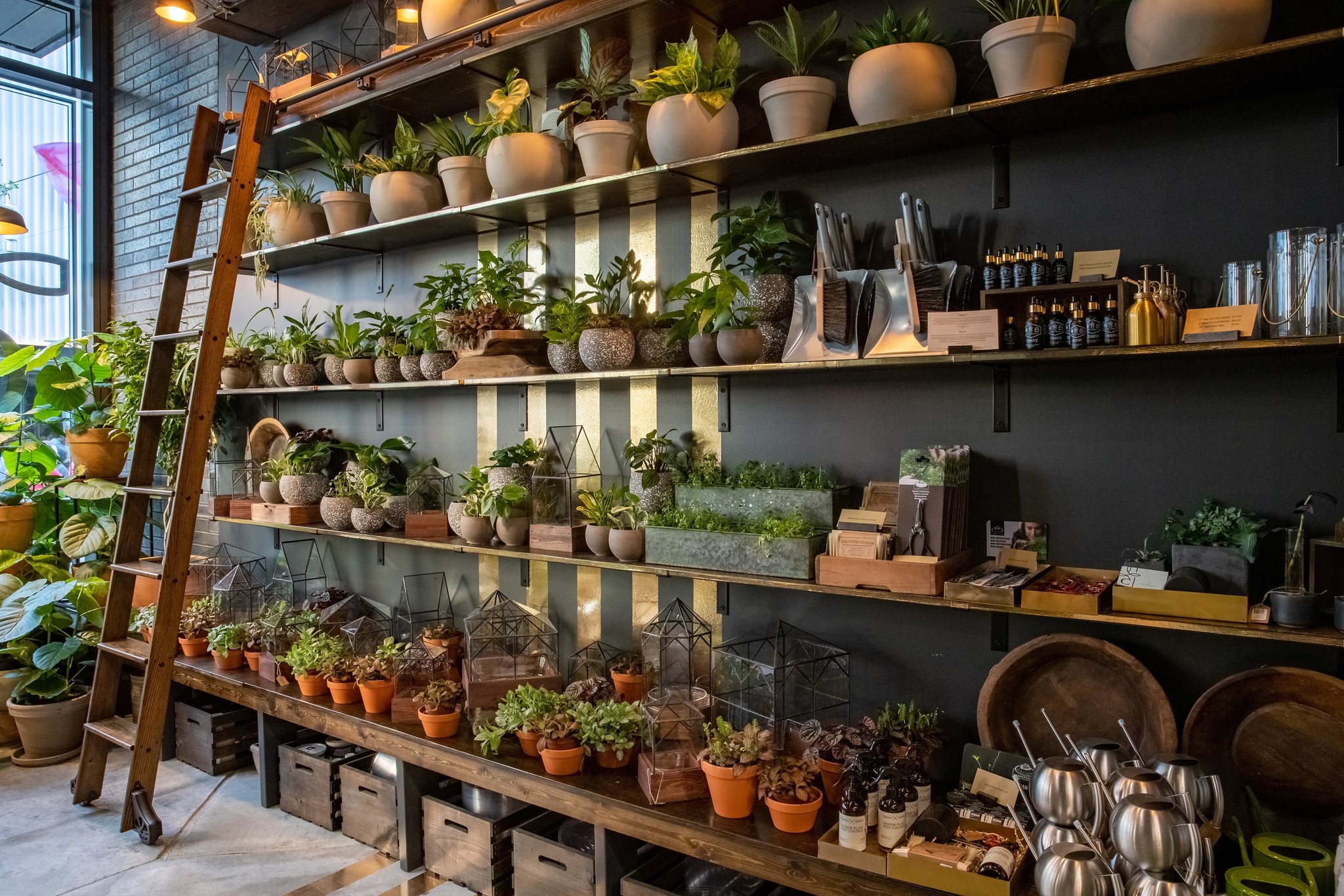 Corporate brand photography in Omaha Nebraska