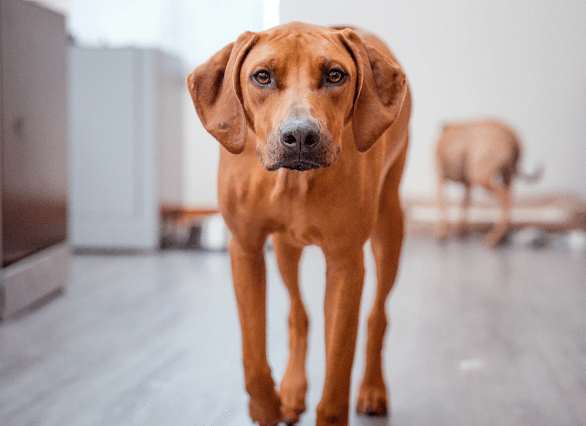 Professional Video FIlming and Photography Omaha